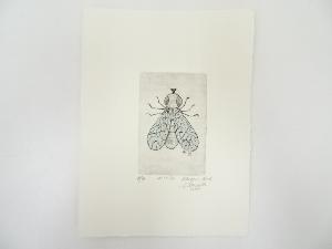 パオロ・メネガッツォ　銅版画　（16/16）